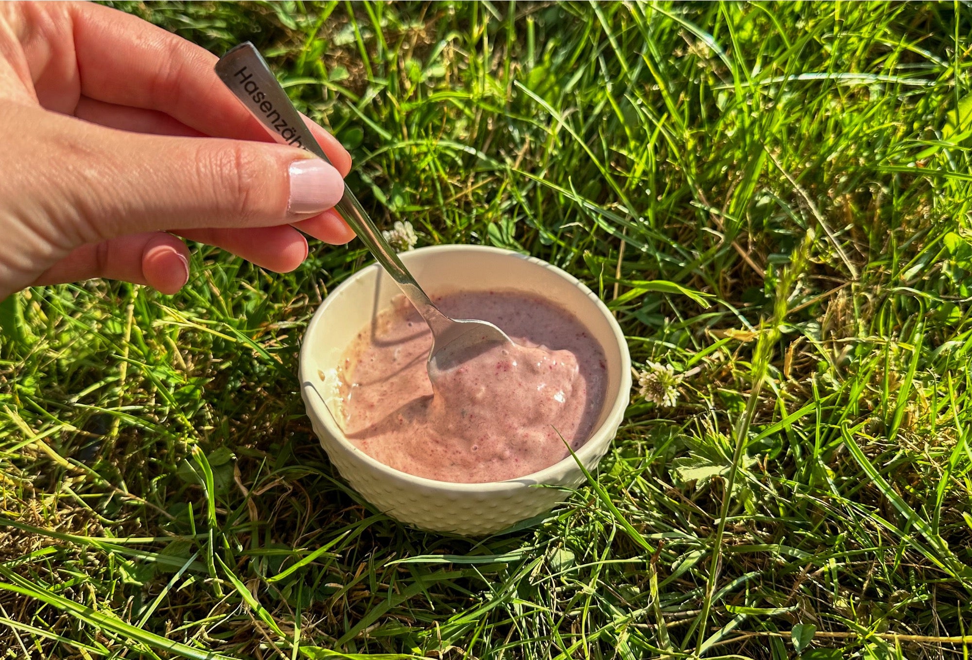 Himbeer-Traum NiceCream