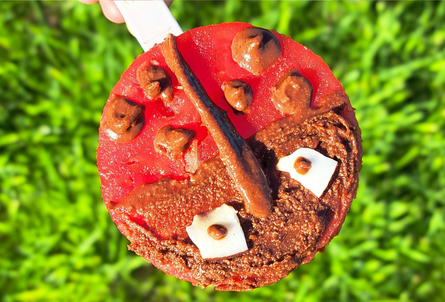 Einfaches Marienkäfer-Eis