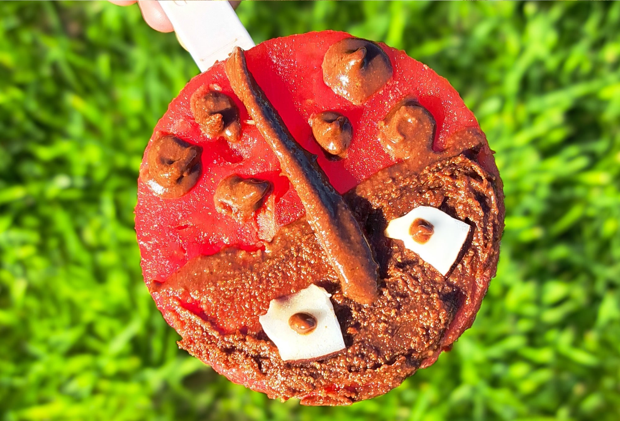 Einfaches Marienkäfer-Eis